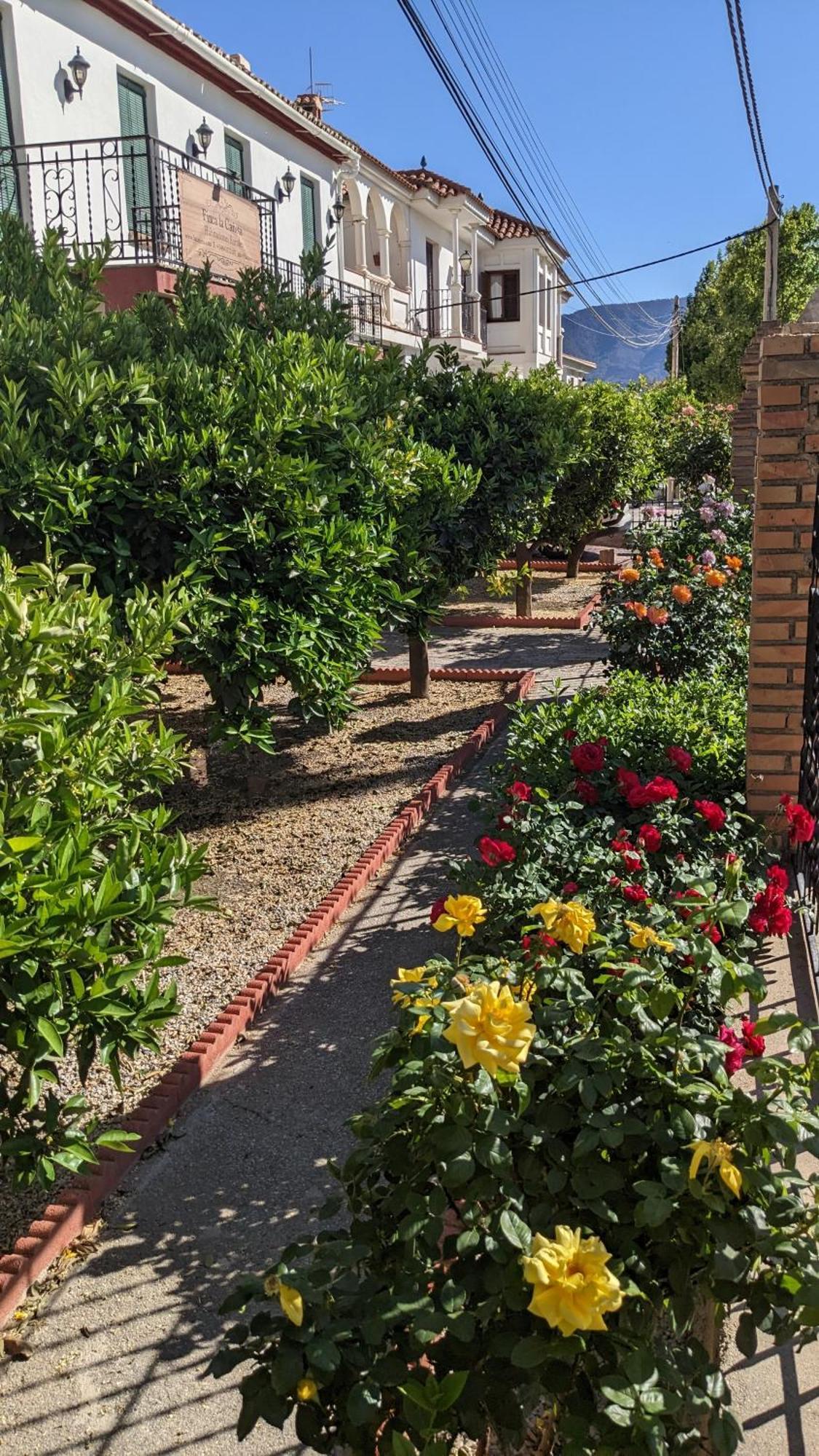 La Canota 2-Floors King Rooms Adults Only Talara Экстерьер фото