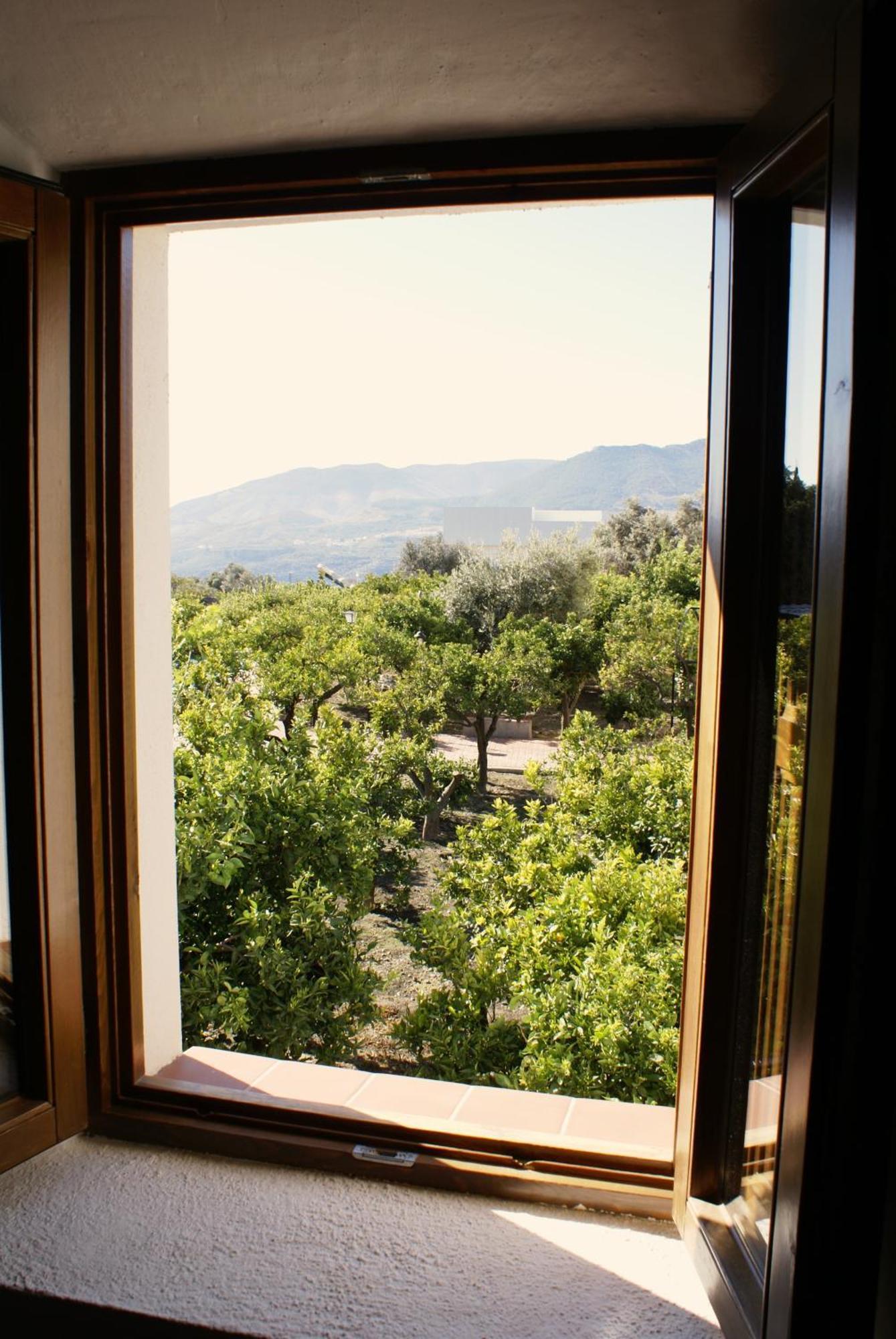 La Canota 2-Floors King Rooms Adults Only Talara Номер фото